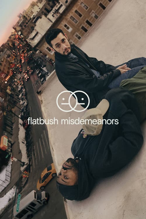 Flatbush Misdemeanors Season 1 poster