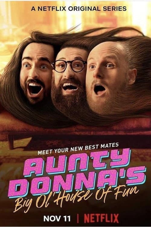 Aunty Donna's Big Ol House of Fun Miniseries poster