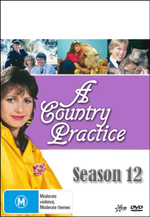 A Country Practice Season 12 poster