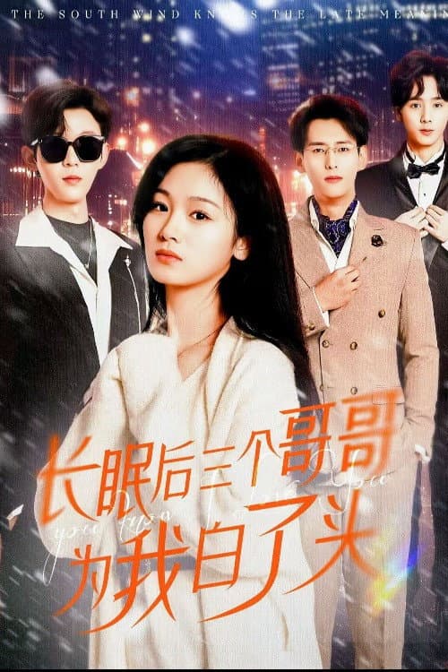 长眠后三个哥哥为我白了头 Season 1 poster