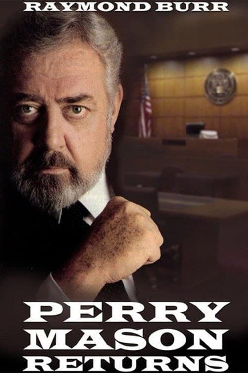 Perry Mason Returns Season 1 poster