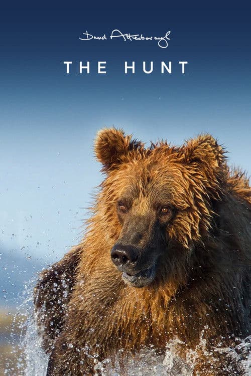 The Hunt Miniseries poster