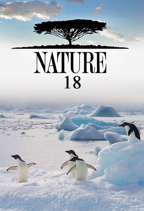 Nature Season 18 poster