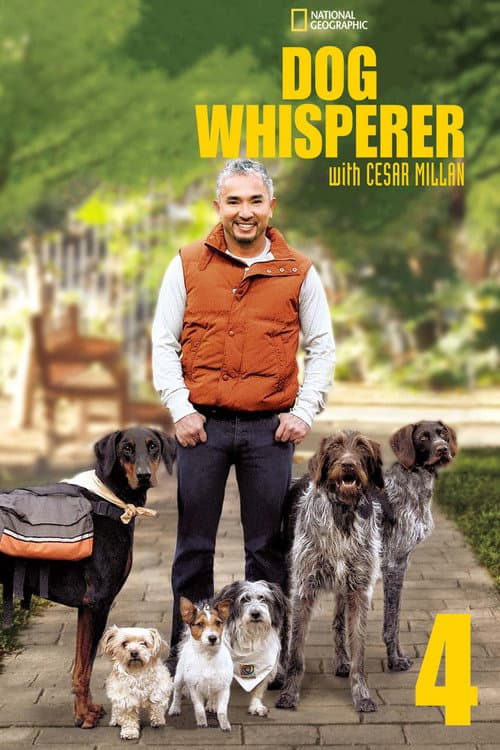 Dog Whisperer Season 4 poster