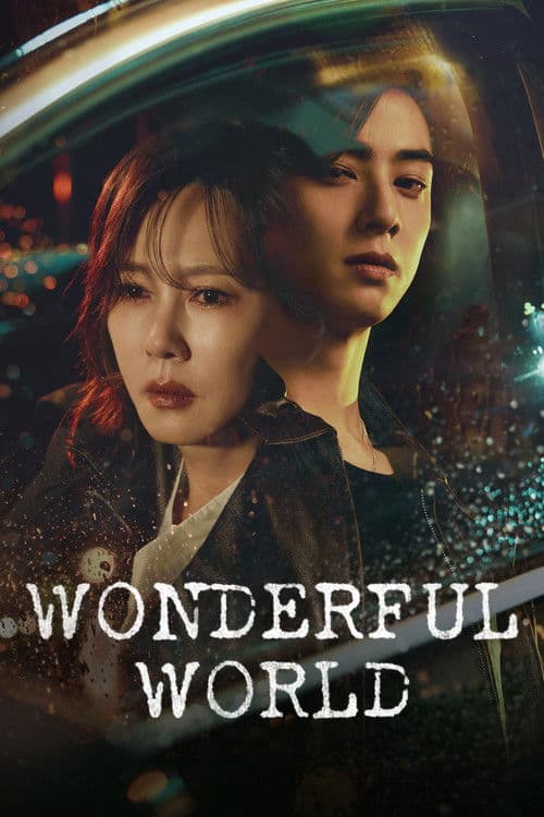 Wonderful World Season 1 poster