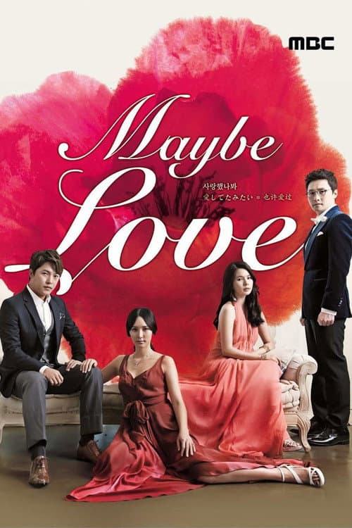 Maybe Love Season 1 poster