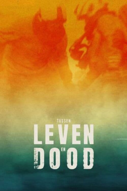 Tussen Leven en Dood Season 2 poster