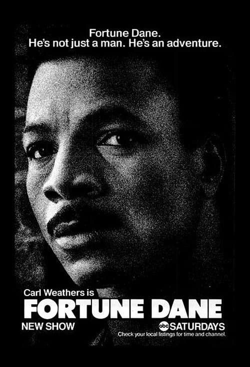 Fortune Dane Season 1 poster
