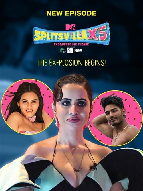 MTV Splitsvilla Season 2 poster