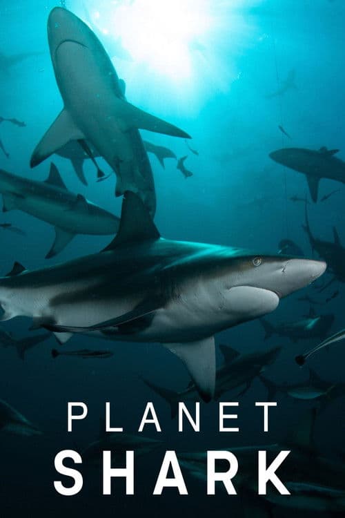 Planet Shark Season 1 poster