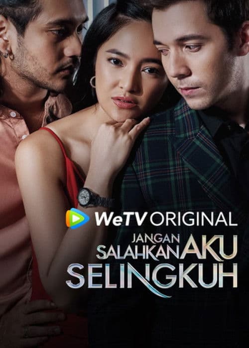 Pardon My Affair Miniseries poster