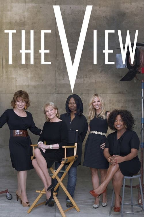 The View Season 16 poster