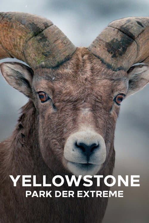 Epic Yellowstone Season 1 poster