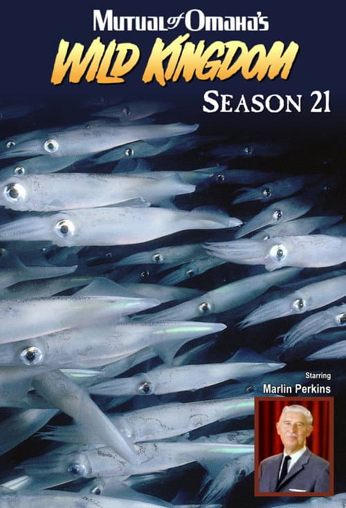 Mutual of Omaha's Wild Kingdom Season 21 poster