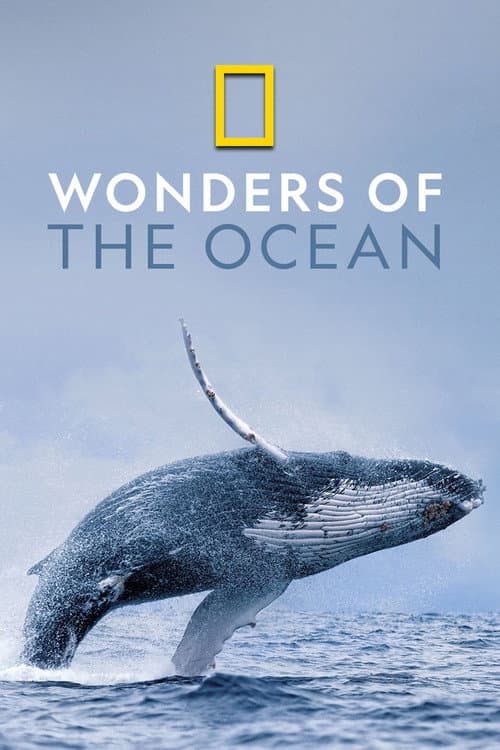 Wonders of the Ocean Season 1 poster