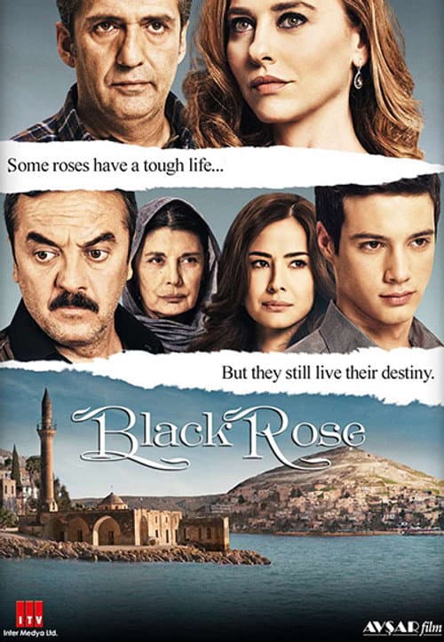 Black Rose Season 2 poster