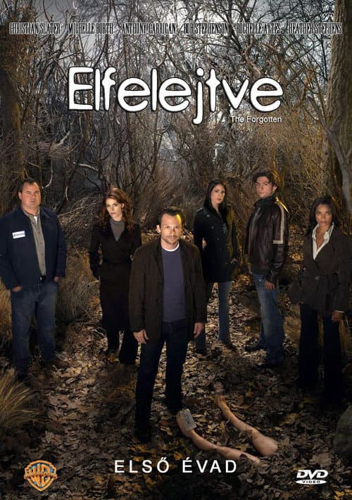 The Forgotten Season 1 poster