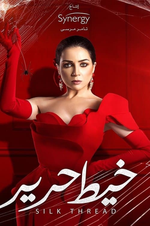 Silk Thread Season 1 poster