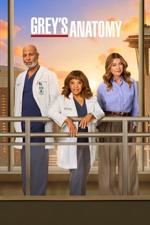 Grey's Anatomy Season 22 poster