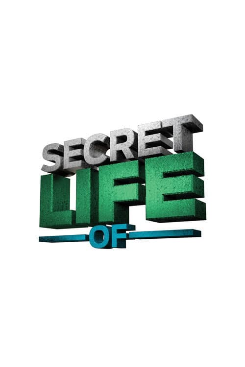 The Secret Life of... Season 1 poster