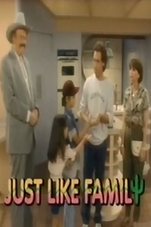 Just Like Family Season 1 poster