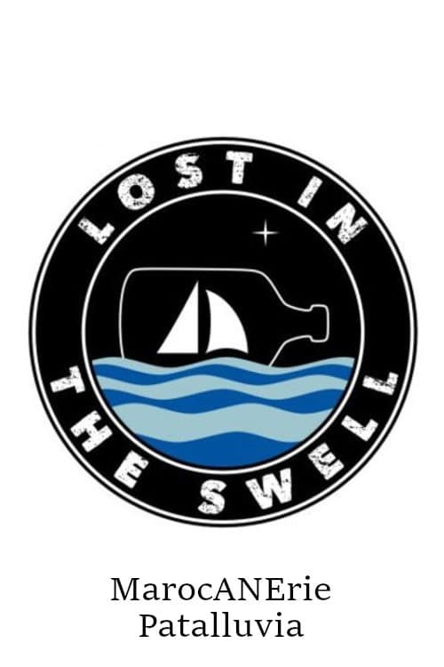 Lost In The Swell Season 5 poster