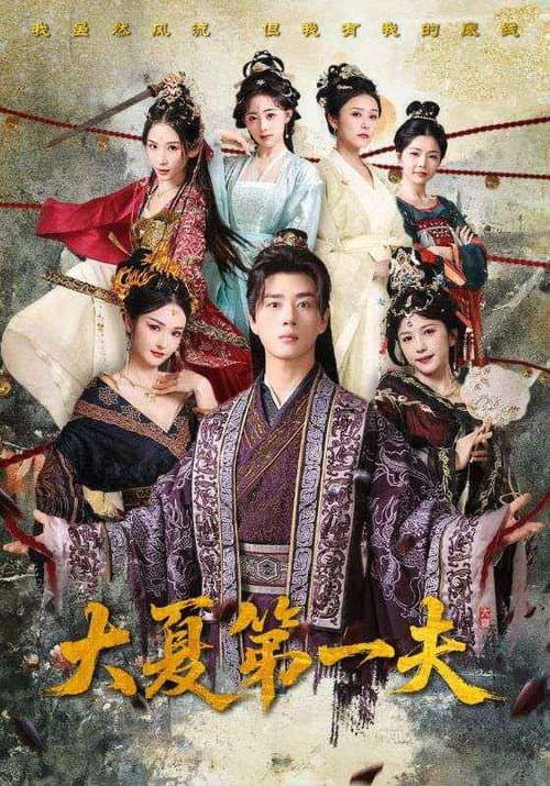 大夏第一夫 Season 1 poster