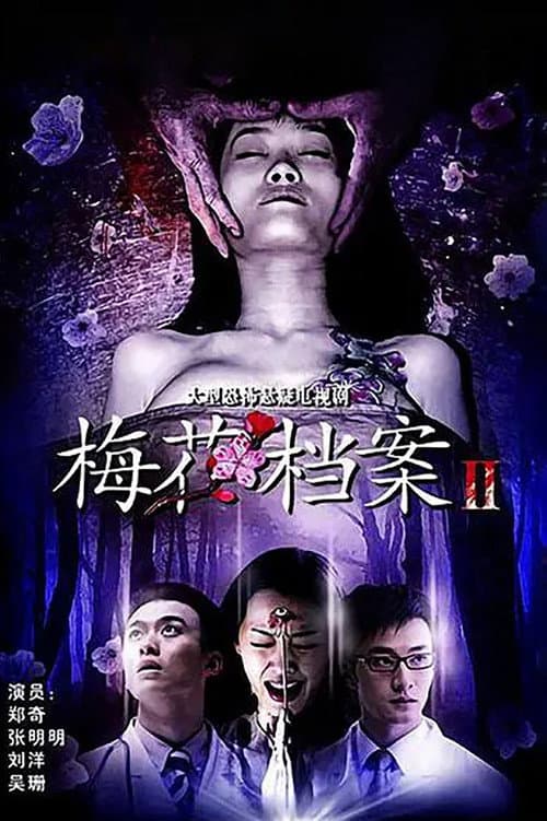 梅花档案 Season 2 poster