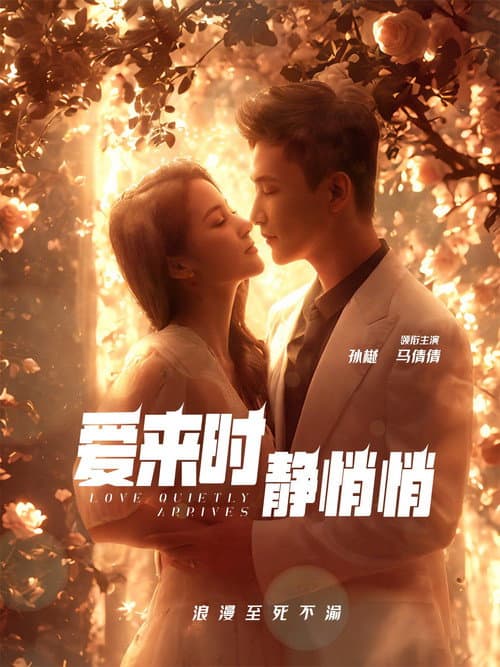 爱来时静悄悄 Season 1 poster