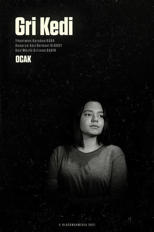 Gri Kedi Season 1 poster