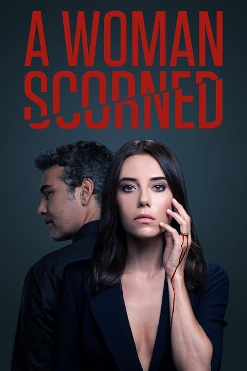 A Woman Scorned Season 1 poster