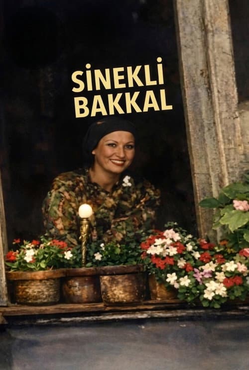 Sinekli Bakkal Season 1 poster