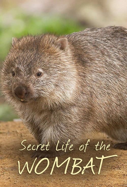 Secret Life of the Wombat Season 1 poster