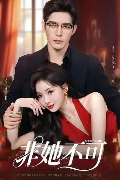 非她不可 Season 1 poster