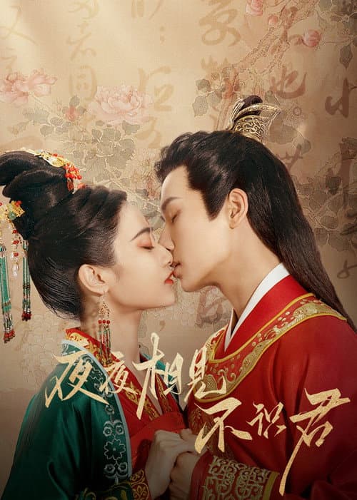 My Decoy Bride Season 1 poster