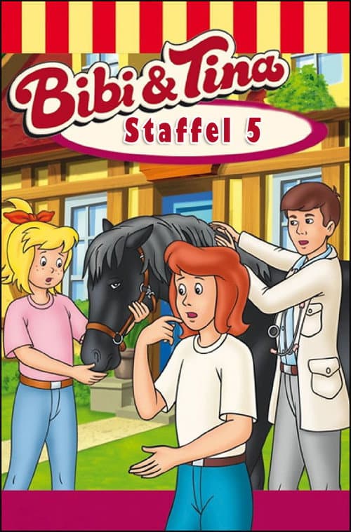 Bibi and Tina Season 5 poster