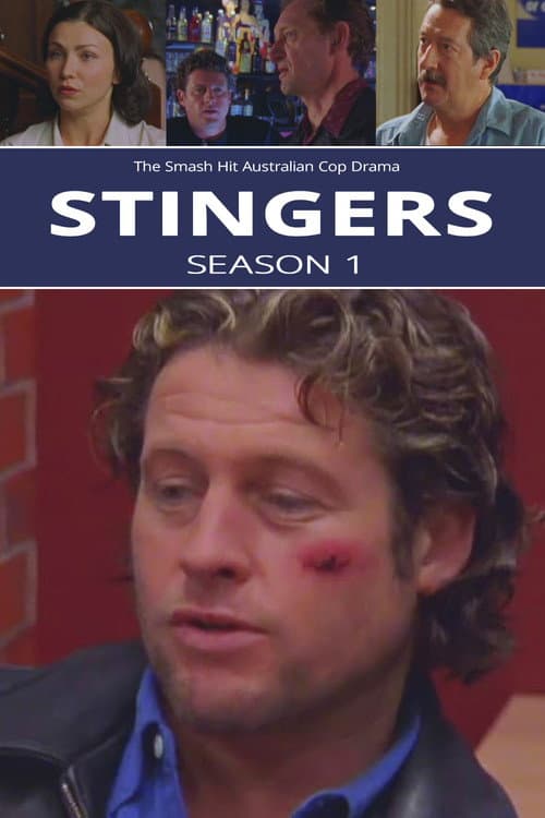 Stingers Season 1 poster
