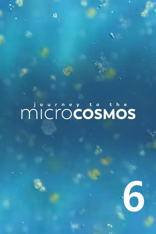 Journey to the Microcosmos Season 6 poster