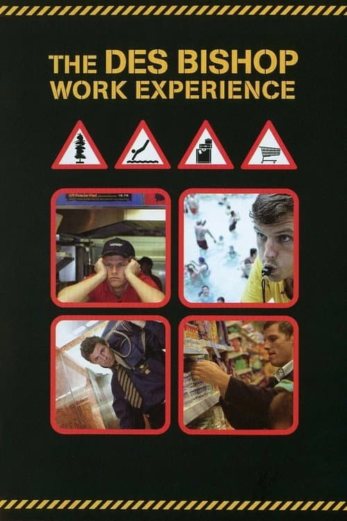 The Des Bishop Work Experience Limited Series poster