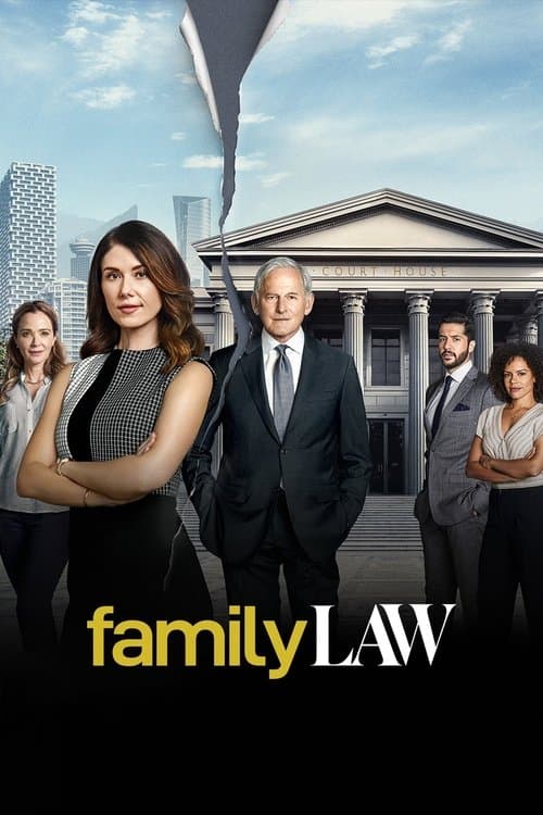 Family Law Season 1 poster