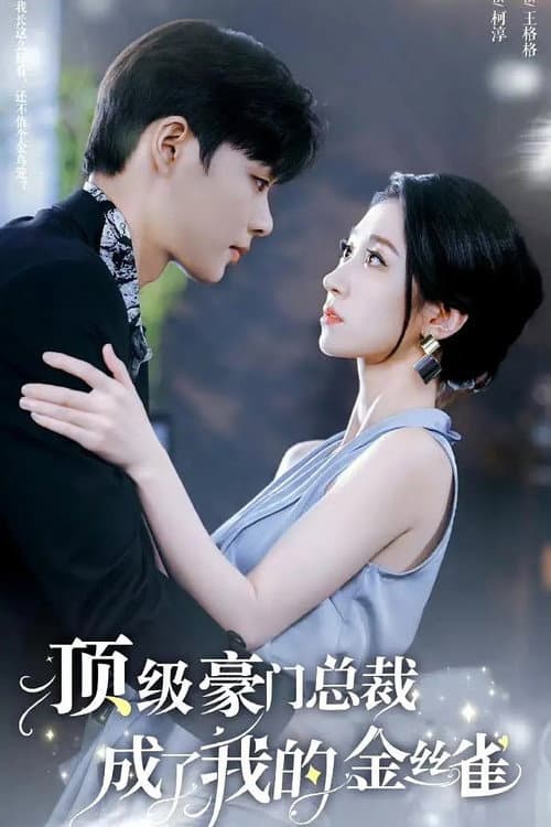顶级豪门总裁成了我的金丝雀 Season 1 poster