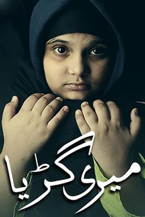 Meri Guriya Season 1 poster