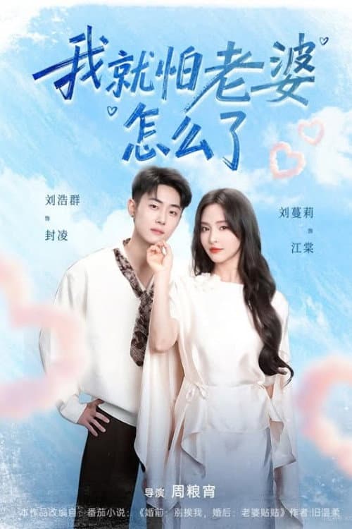 我就怕老婆怎么了 Season 1 poster