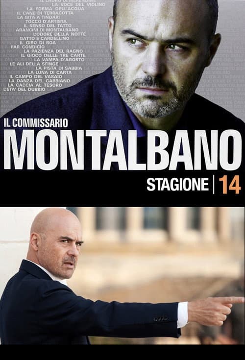 Inspector Montalbano Season 14 poster