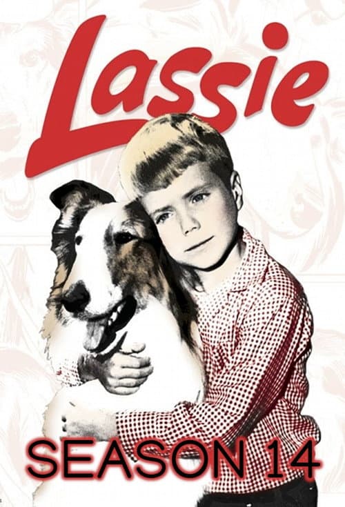 Lassie Season 14 poster