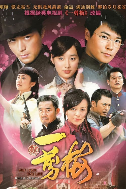 New Spring of Plum Blossoms Season 1 poster