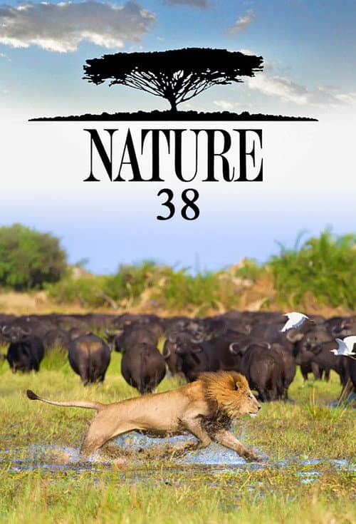 Nature Season 38 poster