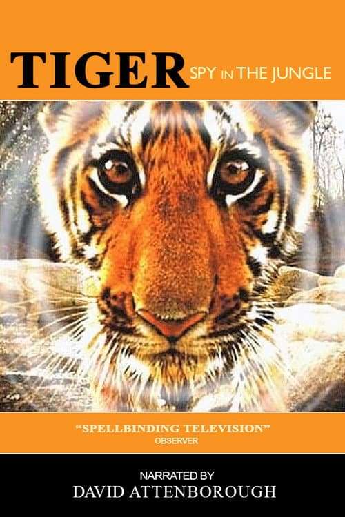Tiger: Spy In The Jungle Season 1 poster