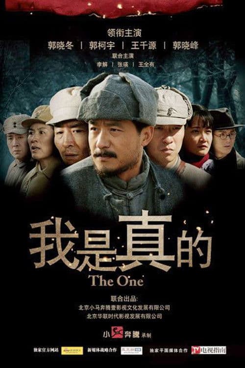 The One Season 1 poster