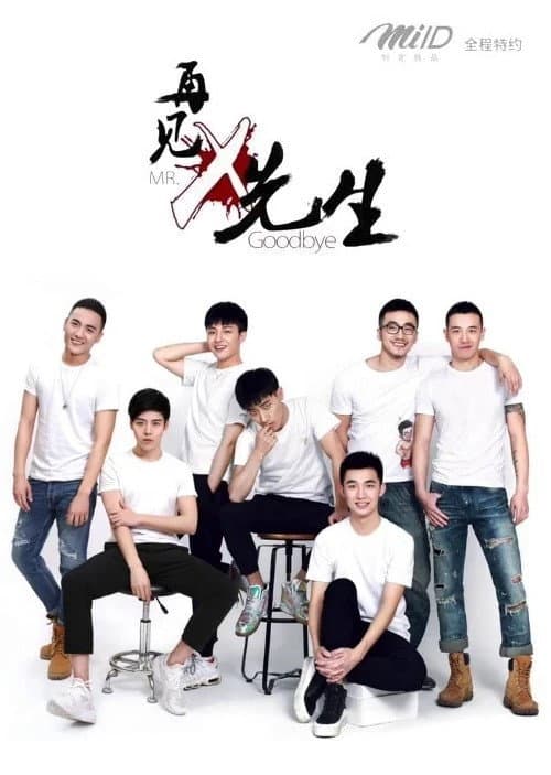 Mr. X and I Goodbye Mr. X poster